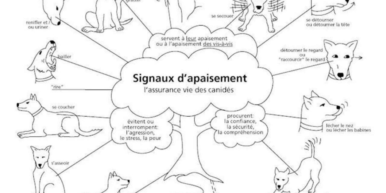 Langage de Chien