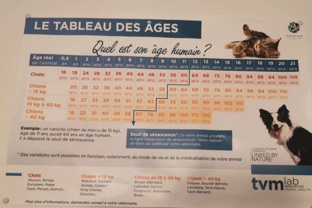 Quel est l'âge réel du chien?